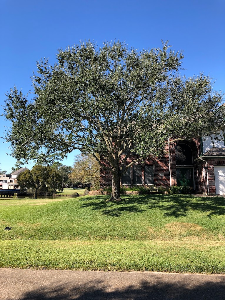 Gallery Gabby's Tree Service