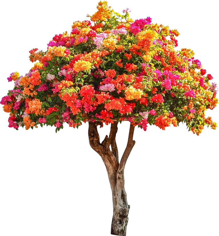 tree-trimming-gabby-s-tree-service